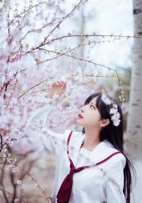 云之羽电视剧免费播放_高清完整版BD